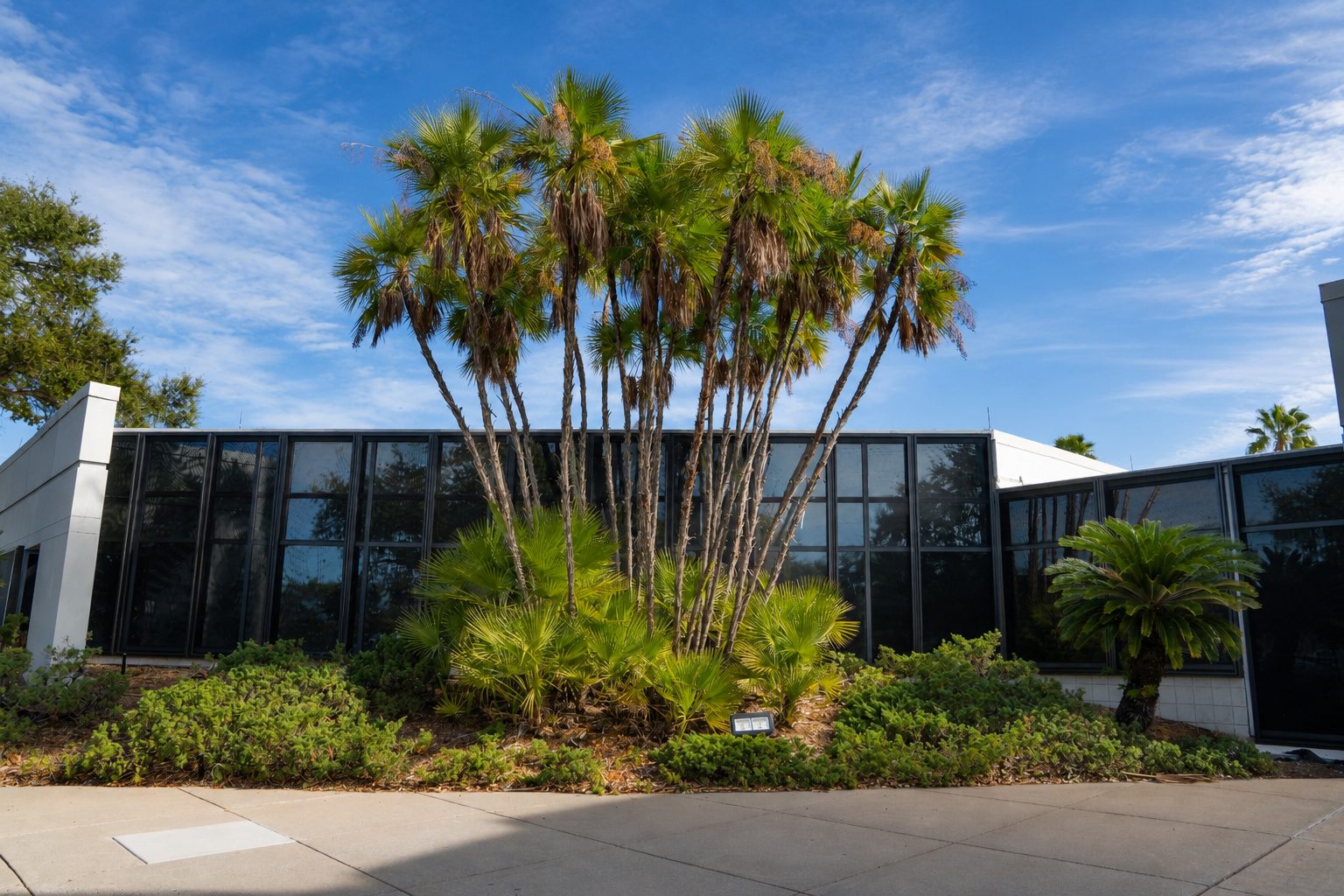 Exterior view of a Florida medical facility with Fortress security screens on its window line