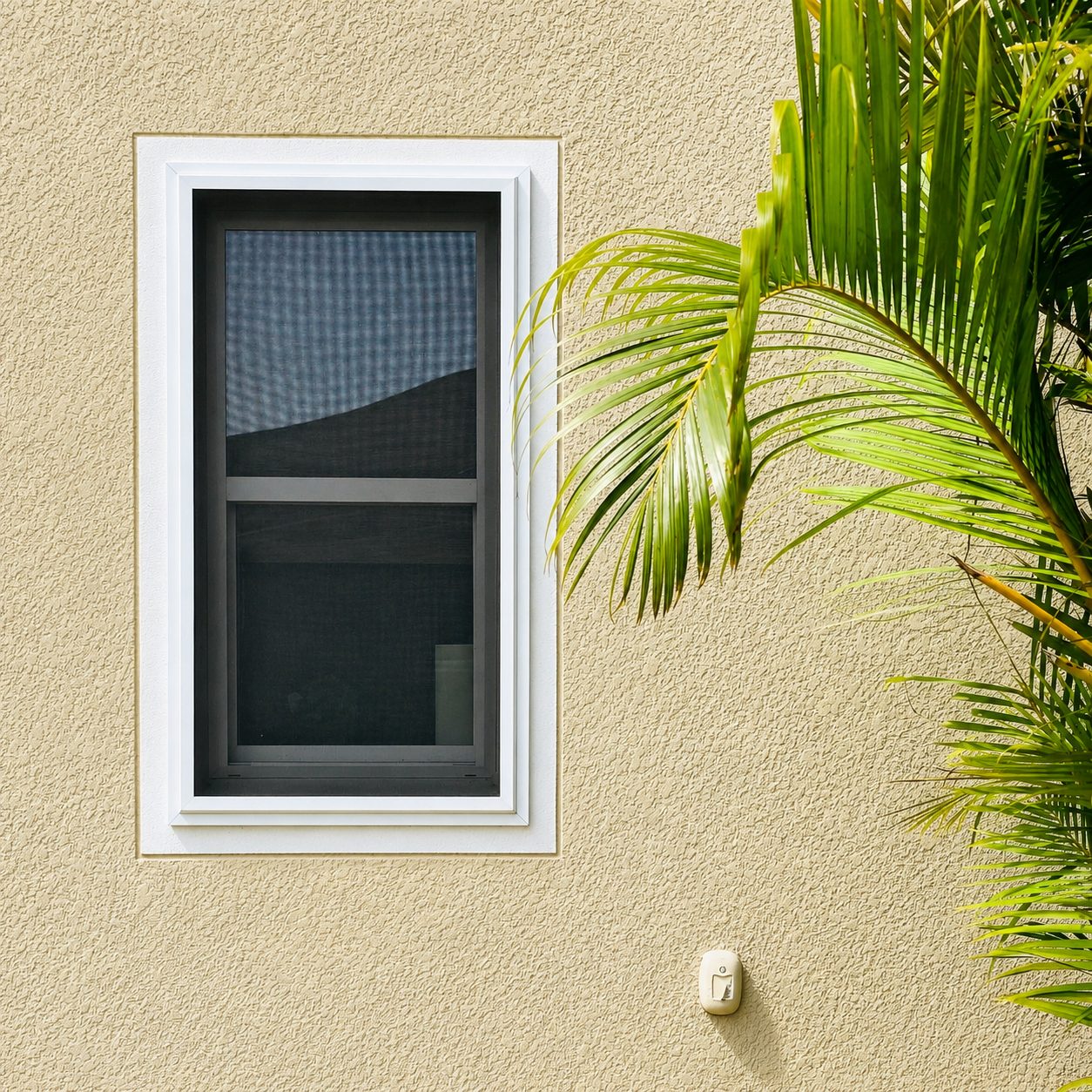 Single Fortress window screen on a stucco home beside palm foliage